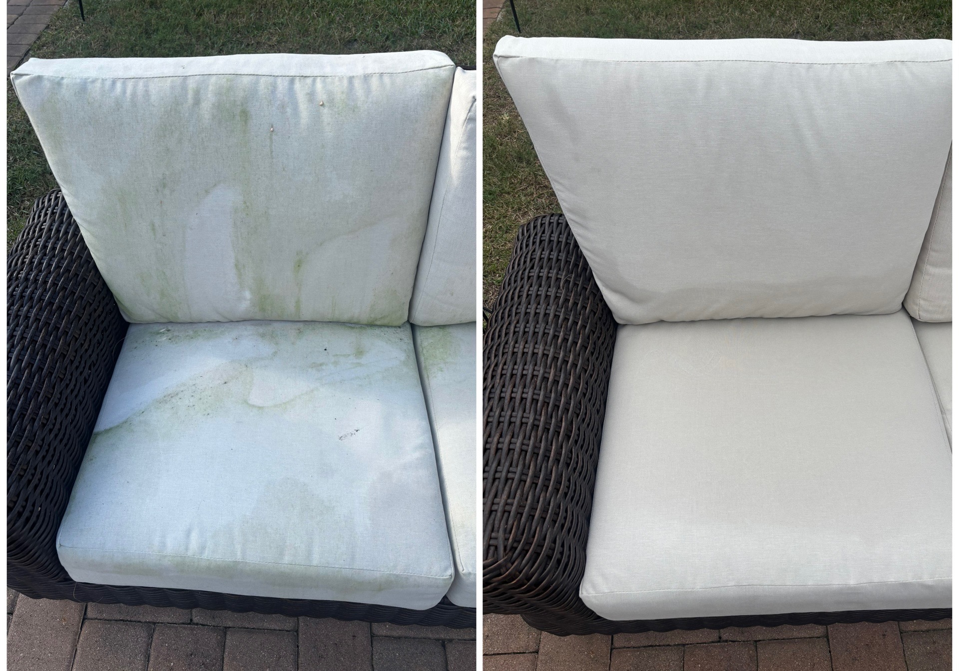 Cushion Cleaning before and after